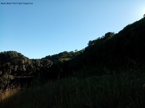 Imagem Terreno à Venda, 2 m² em Linha Imperial - Nova Petrópolis