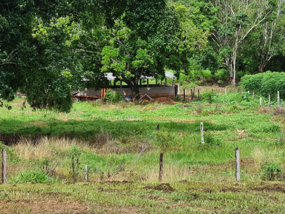 Imagem Imóvel com 7 Quartos à Venda, 1.822 m² em Zona Rural - Primavera Do Leste Imagem Imóvel com 7 Quartos à Venda, 1.822 m² em Zona Rural - Primavera Do Leste