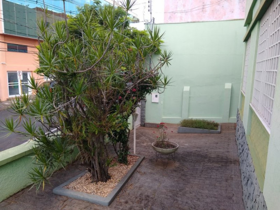 Imagem Casa com 3 Quartos à Venda, 369 m² em Centro - Jacarezinho Imagem Casa com 3 Quartos à Venda, 369 m² em Centro - Jacarezinho