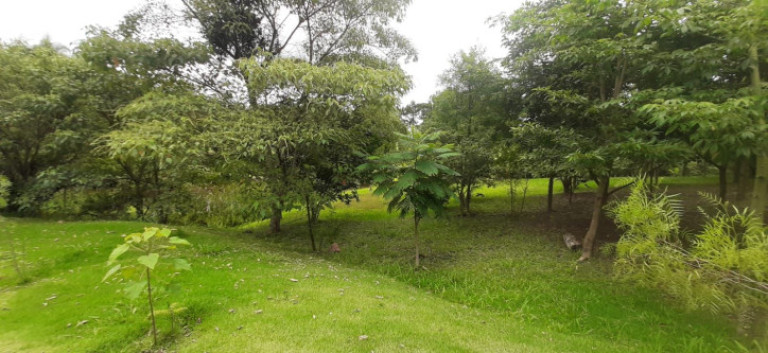 Imagem Terreno à Venda, 626 m² em Vila Mira - Atibaia Imagem Terreno à Venda, 626 m² em Vila Mira - Atibaia