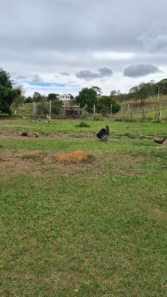 Imagem Chácara com 4 Quartos à Venda, 40.000 m² em Sousas - Campinas Imagem Chácara com 4 Quartos à Venda, 40.000 m² em Sousas - Campinas