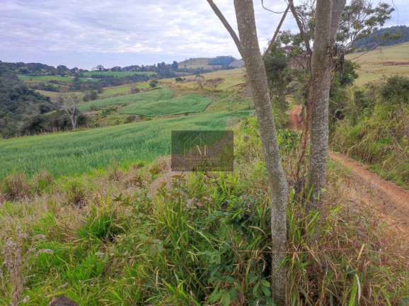 Imagem Terreno à Venda, 2.600 m² em Tomazina - Tomazina Imagem Terreno à Venda, 2.600 m² em Tomazina - Tomazina