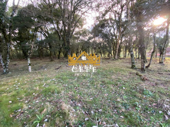 Imagem Imóvel à Venda, 20 m² em Serra Grande - Igrejinha Imagem Imóvel à Venda, 20 m² em Serra Grande - Igrejinha