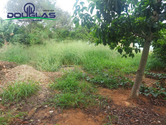 Imagem Terreno à Venda, 448 m² em Viamão Imagem Terreno à Venda, 448 m² em Viamão