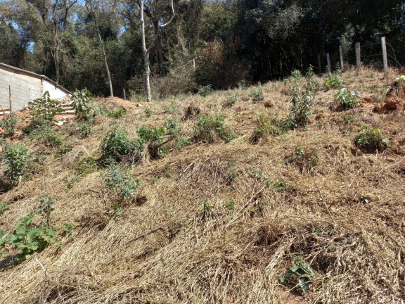 Imagem Imóvel à Venda, 912 m² em Morro Grande Da Boa Vista - Bragança Paulista Imagem Imóvel à Venda, 912 m² em Morro Grande Da Boa Vista - Bragança Paulista