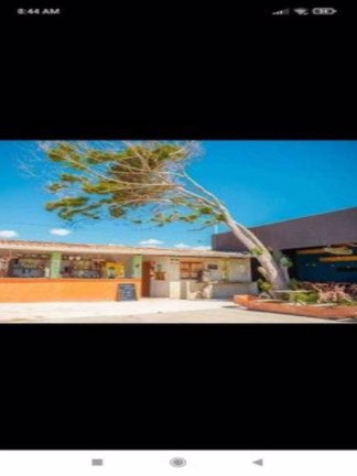 Imagem Ponto Comercial à Venda, 4.000 m² em Praia Da Barra - Alcobaça
