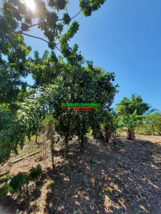 Imagem Chácara à Venda, 20.800 m² em Chácara Marambaia - Caçapava Imagem Chácara à Venda, 20.800 m² em Chácara Marambaia - Caçapava