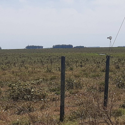 Terreno à Venda, 70 m² em Itaqui