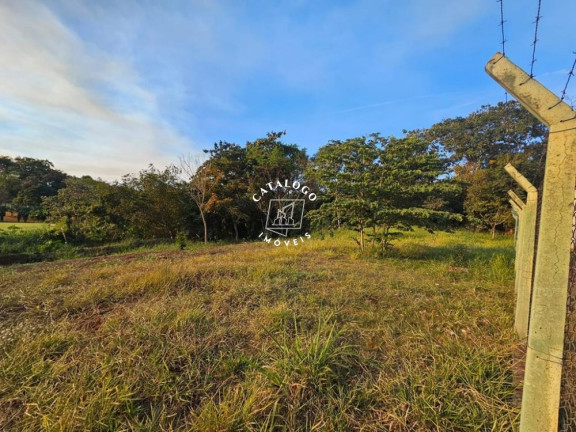 Imagem Imóvel à Venda, 82 m² em Vila Do Golf - Ribeirão Preto Imagem Imóvel à Venda, 82 m² em Vila Do Golf - Ribeirão Preto