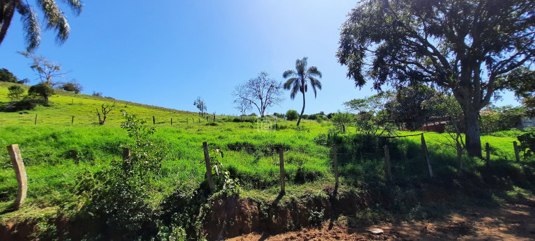 Imagem Imóvel com 3 Quartos à Venda, 11 m² em Barreiro 2 (rural) - Caldas