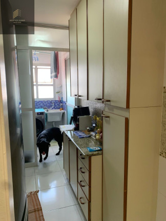 Imagem Imóvel com 2 Quartos à Venda, 55 m² em Vila Guedes - São Paulo