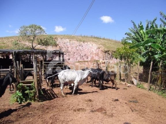 Imagem Fazenda à Venda, 200 m² em Centro - Paraibuna Imagem Fazenda à Venda, 200 m² em Centro - Paraibuna