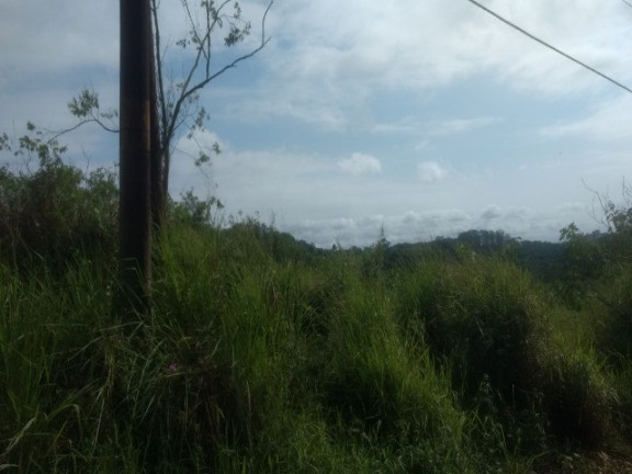 Imagem Terreno à Venda, 55.000 m² em Colônia (zona Leste) - São Paulo Imagem Terreno à Venda, 55.000 m² em Colônia (zona Leste) - São Paulo