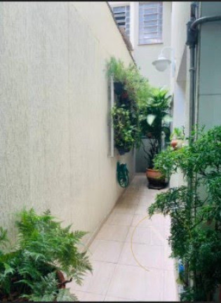 Imagem Casa com 3 Quartos à Venda, 149 m² em Vila Gomes Cardim - São Paulo Imagem Casa com 3 Quartos à Venda, 149 m² em Vila Gomes Cardim - São Paulo