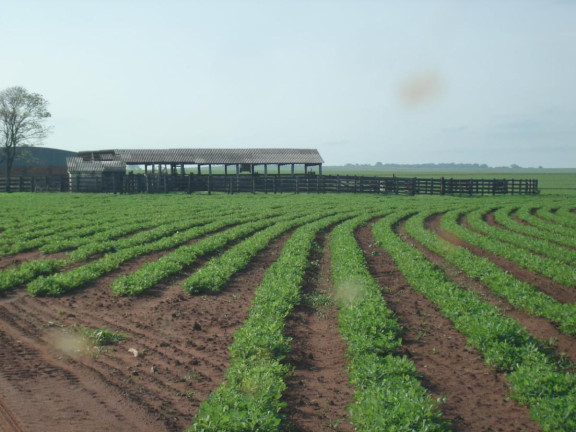 Imagem Fazenda à Venda, 351 m² em Rural - Rancharia Imagem Fazenda à Venda, 351 m² em Rural - Rancharia