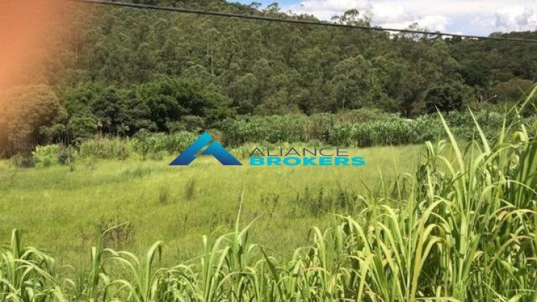 Terreno à Venda, 68.000 m² em Sítio Do Mursa - Várzea Paulista
