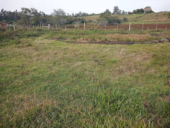Imagem Chácara à Venda, 10.000 m² em águas Claras - Viamão Imagem Chácara à Venda, 10.000 m² em águas Claras - Viamão