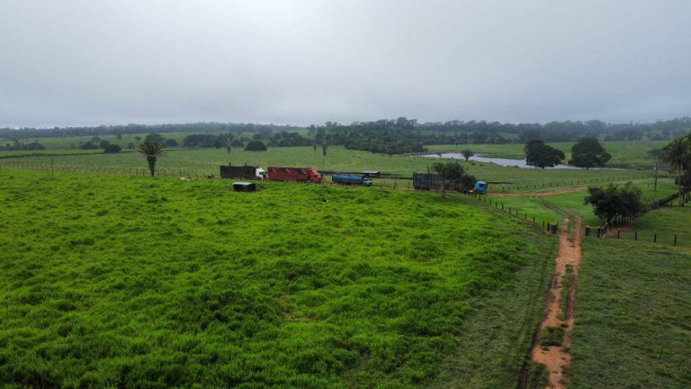 Imagem Fazenda à Venda, em Juara Imagem Fazenda à Venda, em Juara