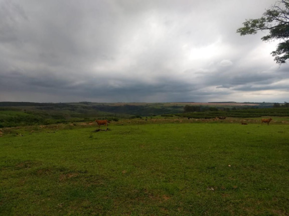 Imagem Fazenda à Venda, 183 m² em Garça - Garça Imagem Fazenda à Venda, 183 m² em Garça - Garça
