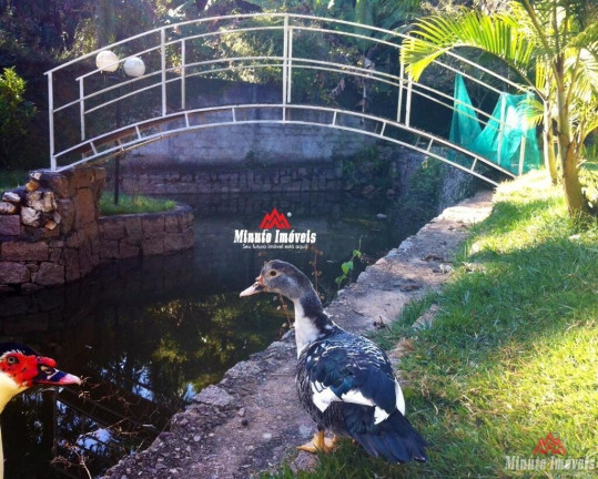 Imagem Imóvel com 4 Quartos à Venda, 4.247 m² em Núcleo Colonial Barão De Jundiaí - Jundiaí Imagem Imóvel com 4 Quartos à Venda, 4.247 m² em Núcleo Colonial Barão De Jundiaí - Jundiaí