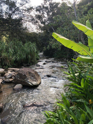 Imagem Terreno à Venda, 15.000 m² em Cambuí