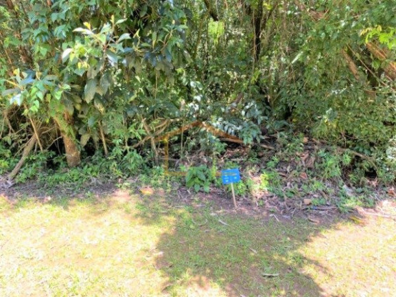 Imagem Terreno à Venda, 413 m² em Tucuruvi - São Paulo Imagem Terreno à Venda, 413 m² em Tucuruvi - São Paulo