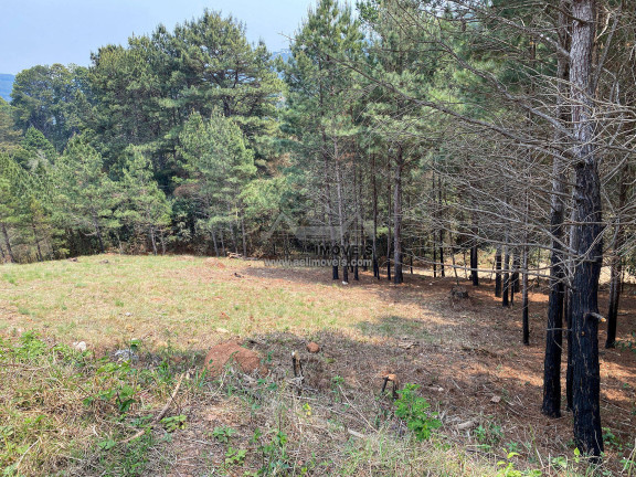 Imagem Terreno à Venda, 3 m² em Vale Encantado - Campos Do Jordão Imagem Terreno à Venda, 3 m² em Vale Encantado - Campos Do Jordão