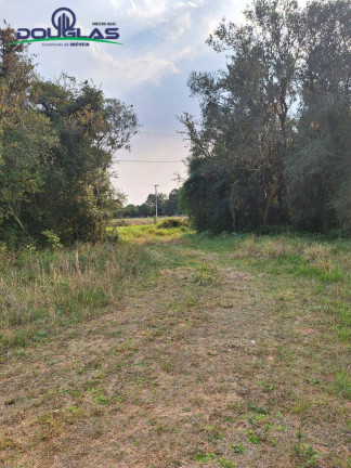 Imagem Chácara à Venda, em Viamão Imagem Chácara à Venda, em Viamão