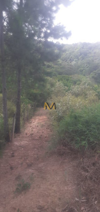 Imagem Terreno à Venda, 7.000 m² em Capoavinha - Mairiporã