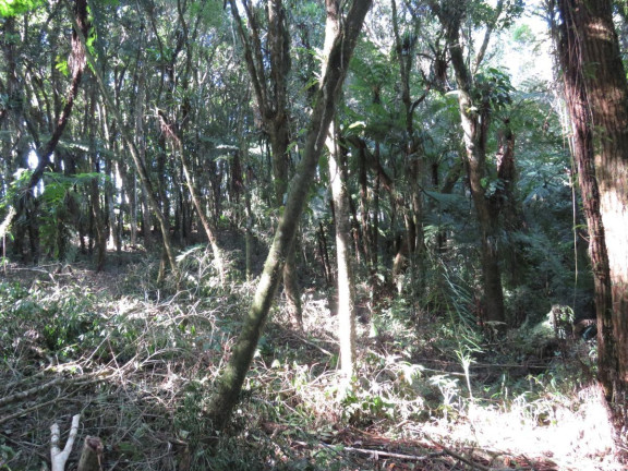 Imagem Terreno à Venda, 36.260 m² em Colonia Murici - São José Dos Pinhais Imagem Terreno à Venda, 36.260 m² em Colonia Murici - São José Dos Pinhais
