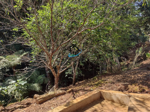 Imagem Imóvel com 2 Quartos à Venda, 5.000 m² em Campo Magro - Campo Magro