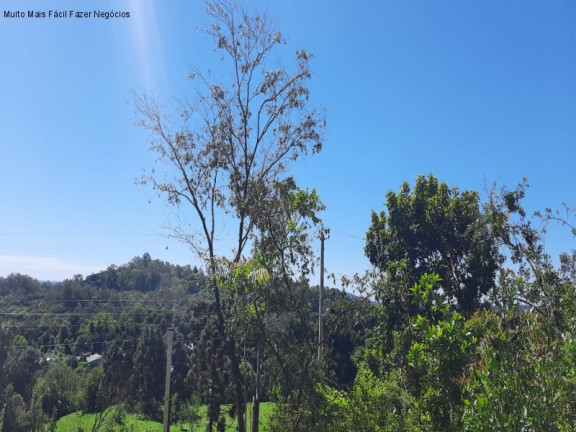 Imagem Terreno à Venda, 546 m² em Linha Olinda - Nova Petrópolis Imagem Terreno à Venda, 546 m² em Linha Olinda - Nova Petrópolis