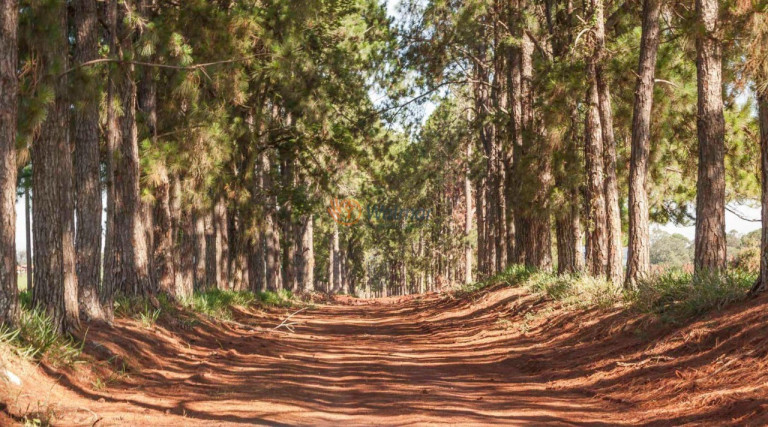 Imagem Terreno à Venda, 903 m² em Residencial Haras Patente - Jaguariúna
