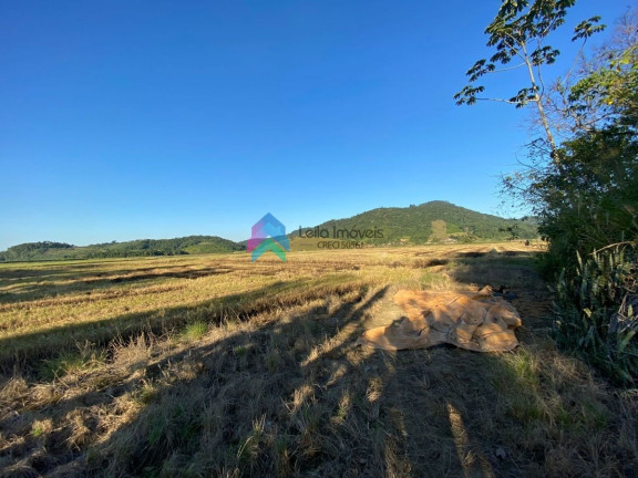 Imagem Terreno à Venda, 82.986 m² em Massaranduba Baixo - Massaranduba Imagem Terreno à Venda, 82.986 m² em Massaranduba Baixo - Massaranduba