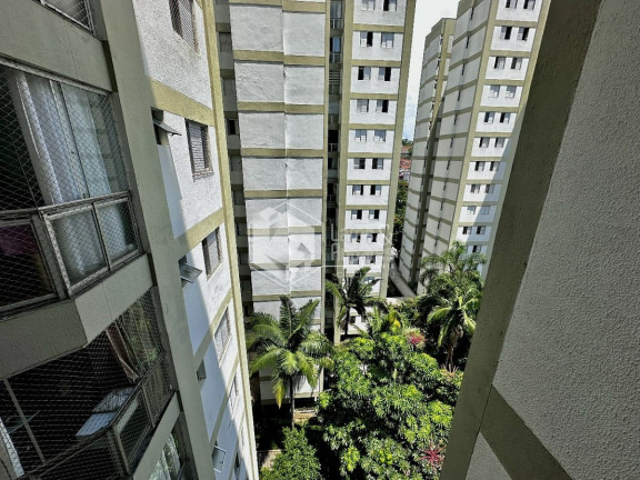 Imagem Apartamento com 3 Quartos à Venda, 74 m² em Jardim Marajoara - São Paulo Imagem Apartamento com 3 Quartos à Venda, 74 m² em Jardim Marajoara - São Paulo