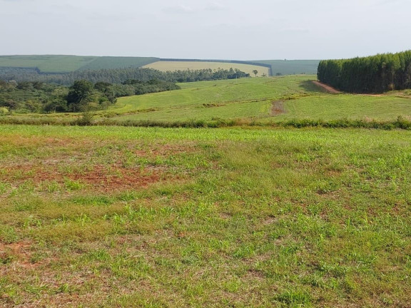 Imagem Fazenda à Venda, 171 m² em Rural - Cabrália Paulista Imagem Fazenda à Venda, 171 m² em Rural - Cabrália Paulista