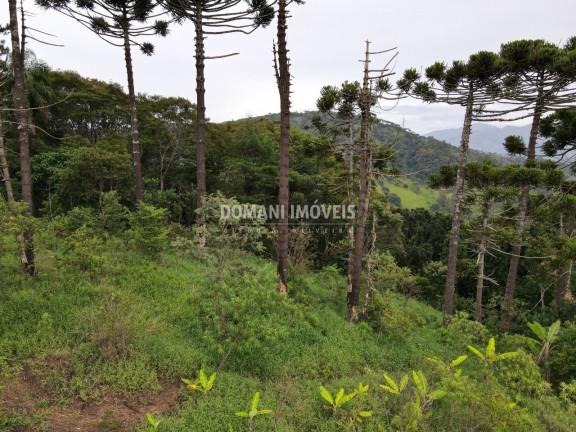Imagem Terreno à Venda, 4.100 m² em Região Do Alpes De Campos Do Jordão - Campos Do Jordão Imagem Terreno à Venda, 4.100 m² em Região Do Alpes De Campos Do Jordão - Campos Do Jordão