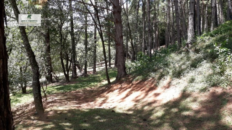 Imagem Fazenda à Venda, 38.000 m² em Sorocamirim - São Roque Imagem Fazenda à Venda, 38.000 m² em Sorocamirim - São Roque