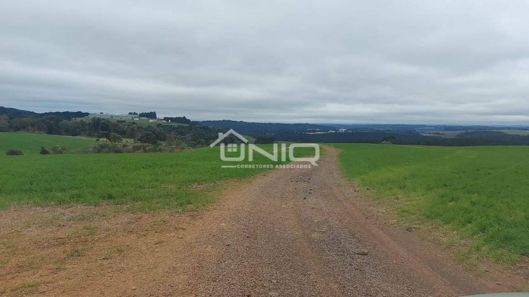 Imagem Fazenda à Venda, em Palmas Imagem Fazenda à Venda, em Palmas