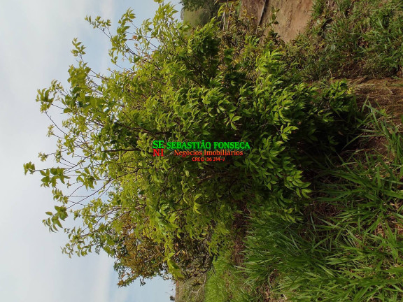 Imagem Chácara à Venda, 20.000 m² em área Rural De Caçapava - Caçapava Imagem Chácara à Venda, 20.000 m² em área Rural De Caçapava - Caçapava