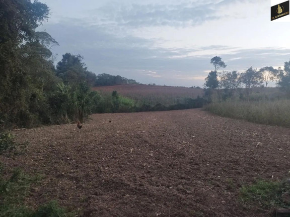 Imagem Imóvel com 3 Quartos à Venda, 48.400 m² em Colônia Murici - São José Dos Pinhais