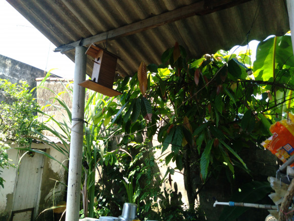 Imagem Imóvel com 3 Quartos à Venda,  em Umuarama - Itanhaém