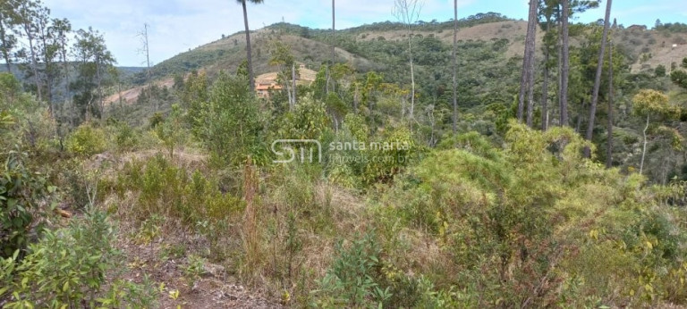 Imagem Imóvel à Venda, 20.000 m² em Bairro Do Charco - Delfim Moreira Imagem Imóvel à Venda, 20.000 m² em Bairro Do Charco - Delfim Moreira