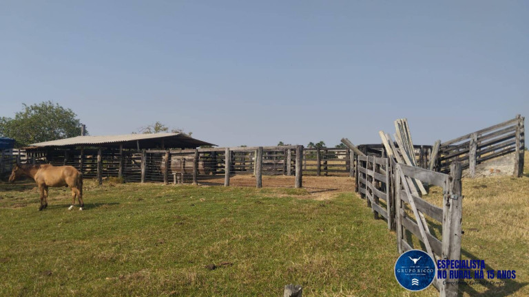 Imagem Chácara à Venda, 20 m² em Zona Rural - Morro Agudo De Goiás Imagem Chácara à Venda, 20 m² em Zona Rural - Morro Agudo De Goiás