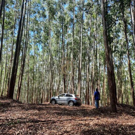 Imagem Fazenda à Venda, 100 m² em Lagoa - Paraibuna Imagem Fazenda à Venda, 100 m² em Lagoa - Paraibuna