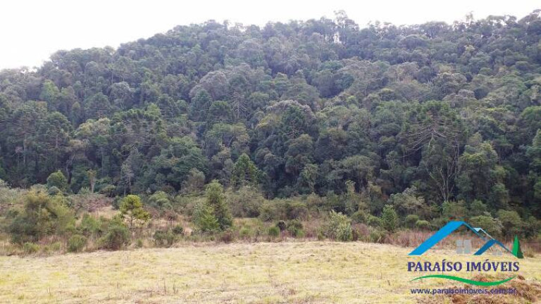 Imagem Terreno à Venda, 38 m² em Centro - Gonçalves