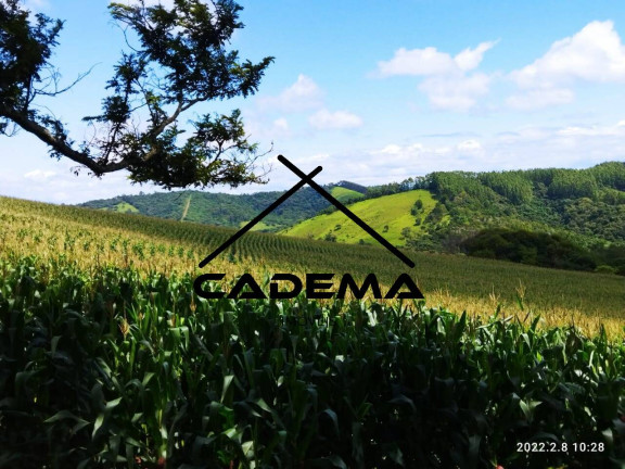 Imagem Fazenda à Venda, 60 m² em Zona Rural - Monte Sião