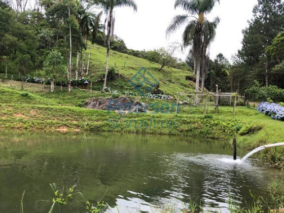 Imagem Chácara com 3 Quartos à Venda, 1.200.000 m² em Lageado Alto - Guabiruba