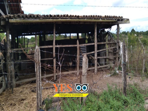 Imagem Imóvel com 2 Quartos à Venda, 100.000 m² em Centro - Cruz Das Almas