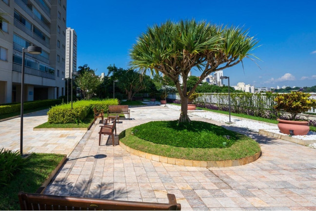 Imagem Apartamento com 3 Quartos à Venda, 145 m² em Vila Sônia - São Paulo Imagem Apartamento com 3 Quartos à Venda, 145 m² em Vila Sônia - São Paulo